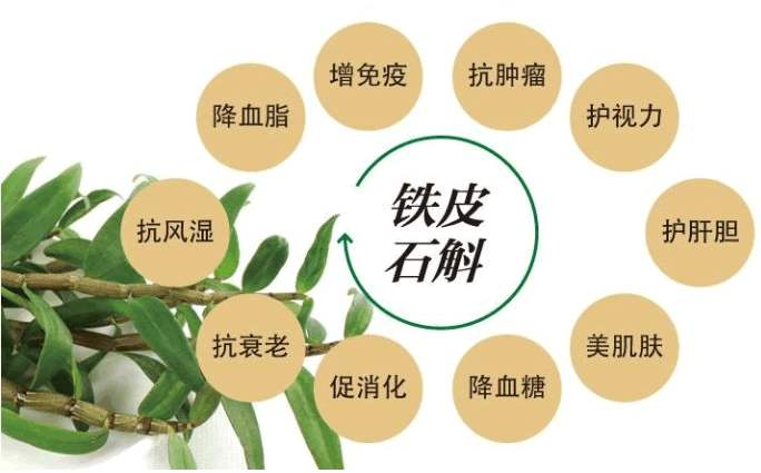 贵州康源铁皮石斛